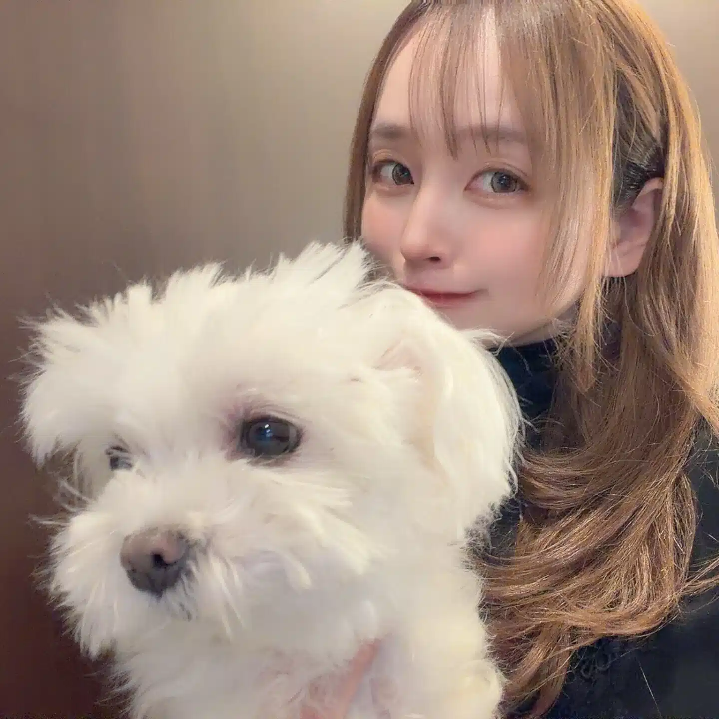お肉まんじゅう