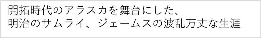 サブタイトル