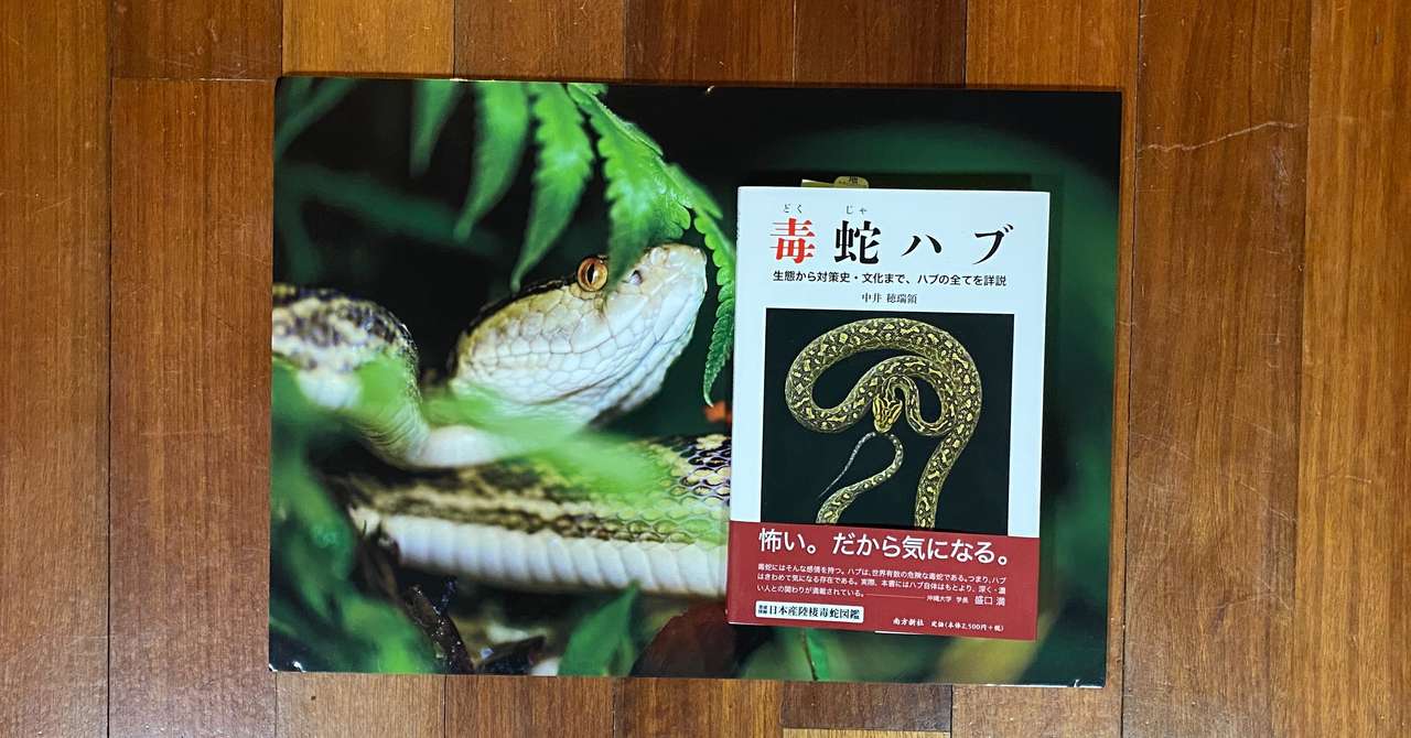 ヤマカガシ の新着タグ記事一覧 Note つくる つながる とどける