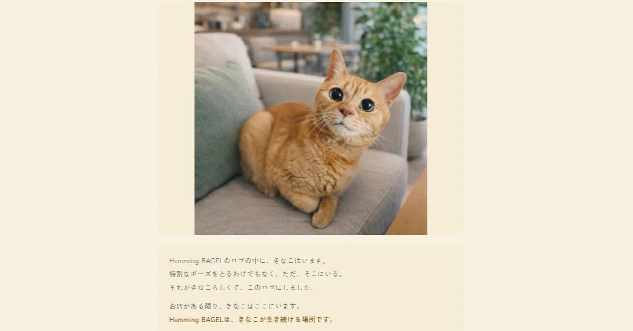 The miracle of a female ginger tabby.｜きなこもち｜ベーグル屋を目指して