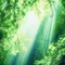 ひろこ|「やさしい時間」