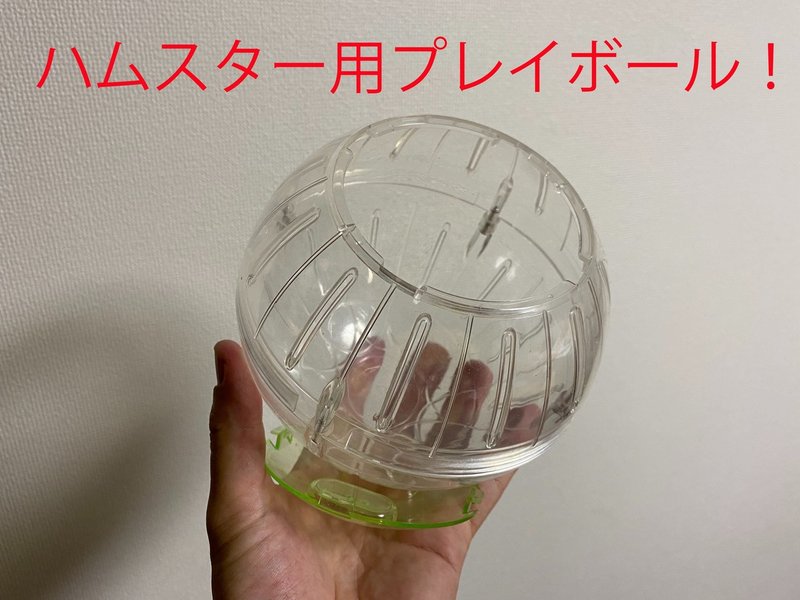 ハムスター飼育日記36日目 5 31 サトウショウヘイ Note