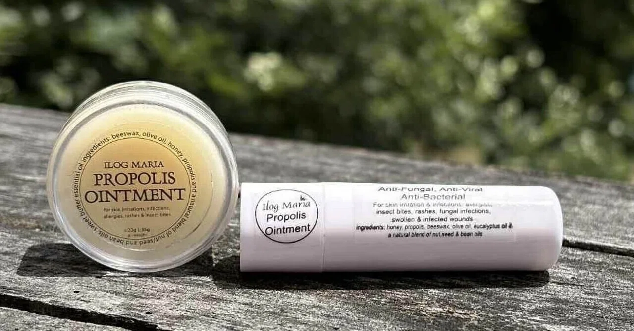 🐝Propolis Ointment🐝｜🐝Bee’s Miracle🐝