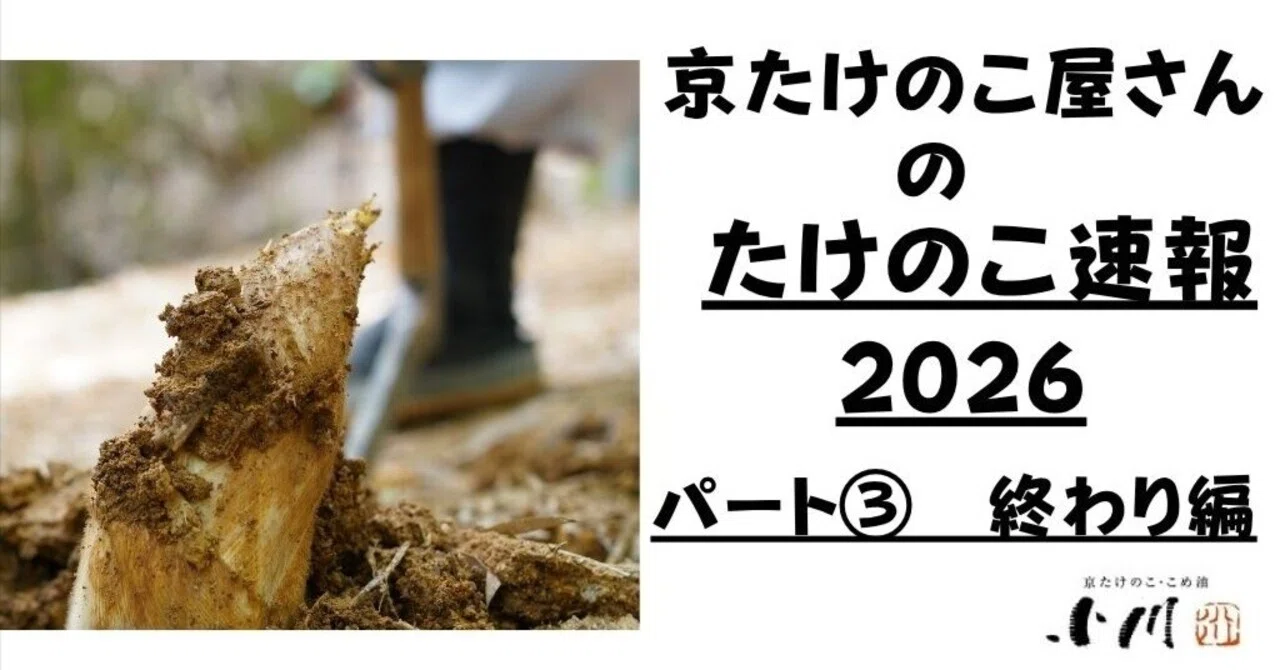 magokurou1216さん専用：京都産【小たけ】京筍　8kg箱：クール便順送 京都産】京たけのこ(京筍) 1箱 (2kg入) | 通販・販売 | 築地お取り寄せ市場