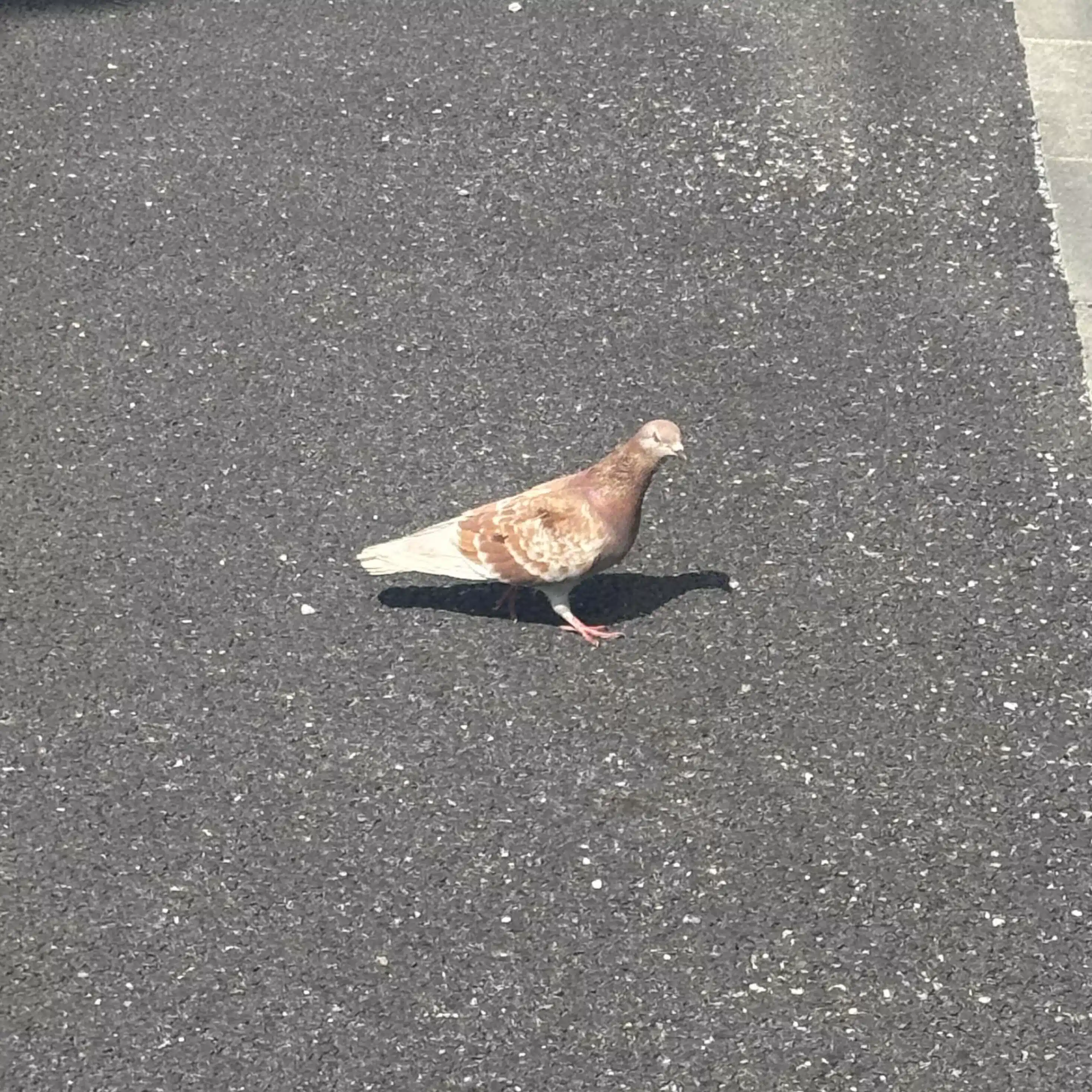 むすび