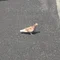 むすび