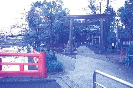 画像5