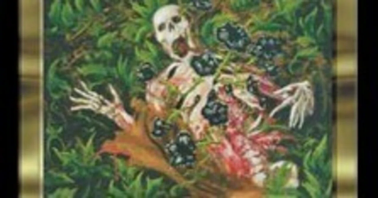死体の花》――手札を肥料にして咲く、コンボ史の怪植物｜shun