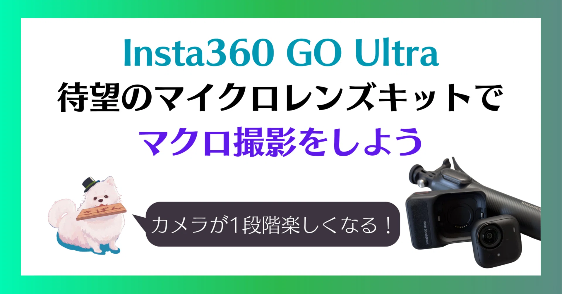 Insta360 GO Ultra｜待望のマイクロレンズキットでマクロ撮影をしよう 