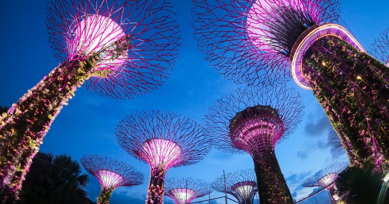 【コロナが変えた世界#17】現地会社員と「シンガポール」の今と未来を語る！