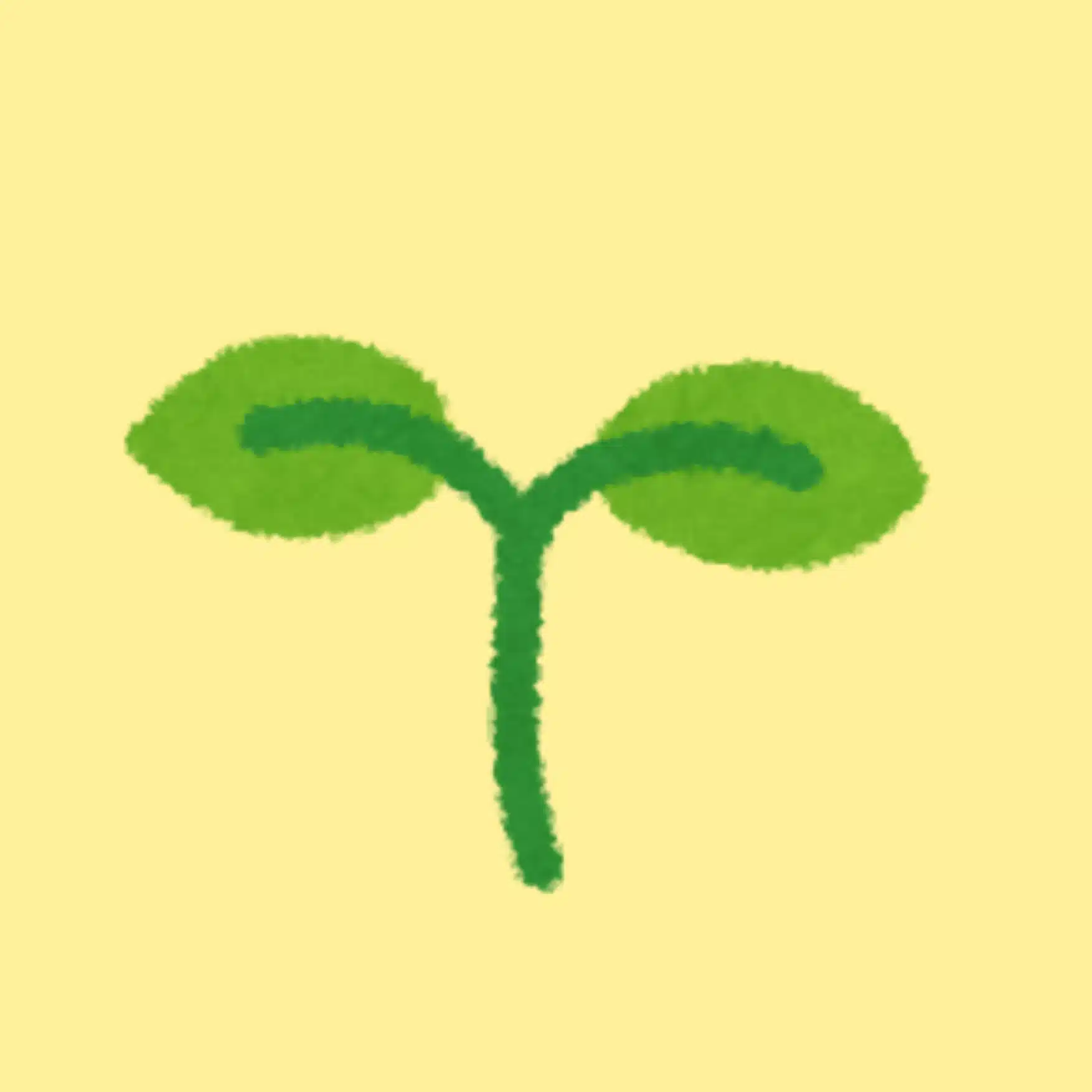 ふたば｜続けられる形のもさく