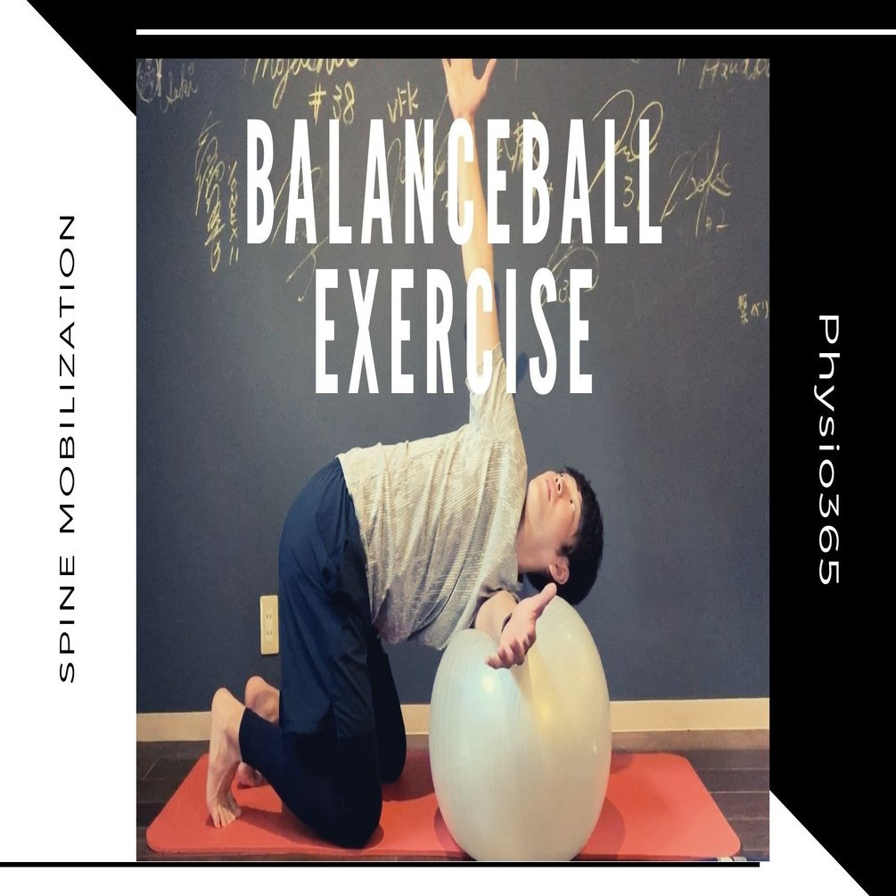 明日から使えるバランスボールストレッチ 背骨と骨盤を整える９つの方法 理学療法士 Nピラティス カラダnote吉田直紀 Note