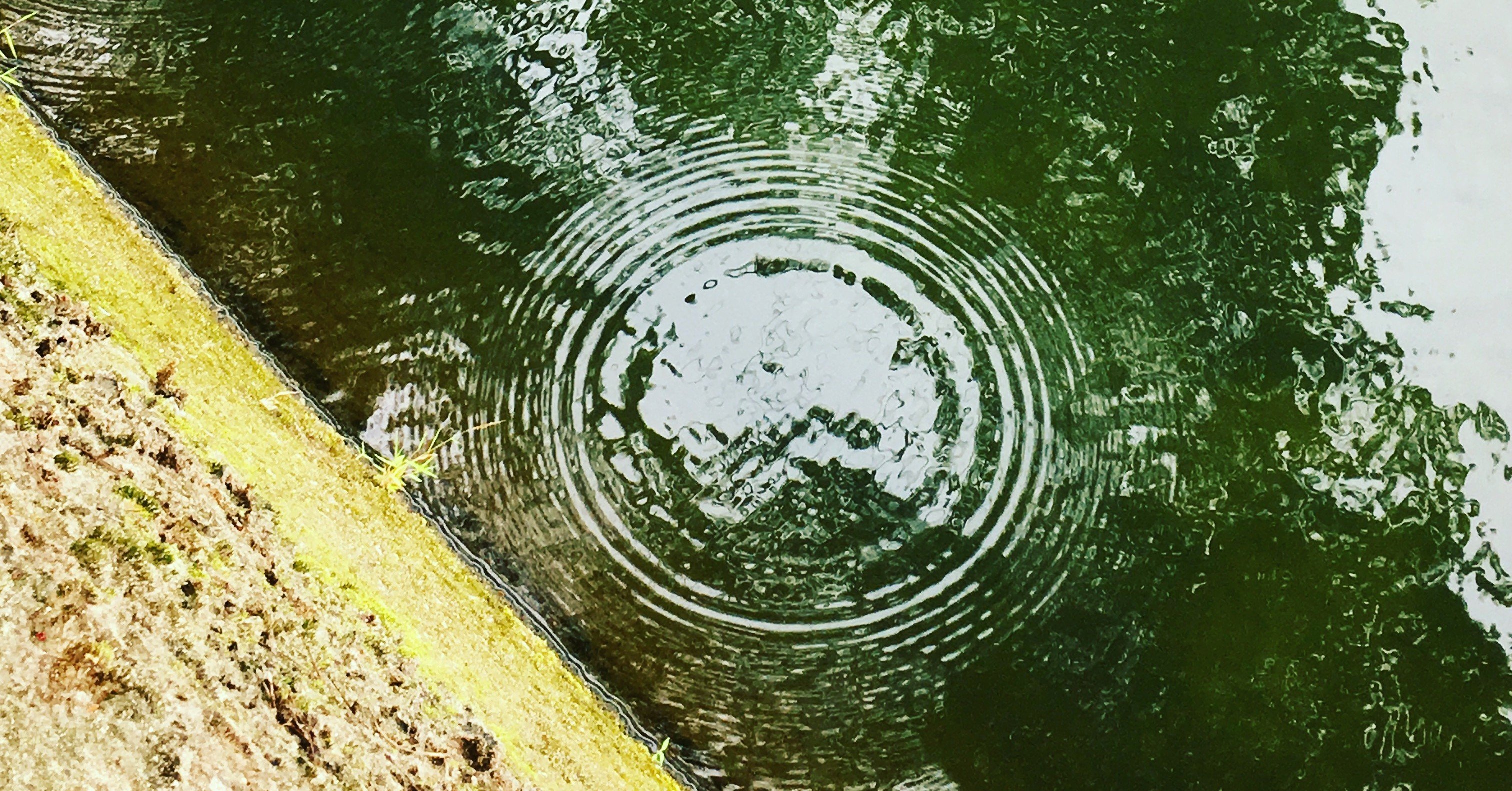 応募作品 伊東静雄賞 千晴 Sorahitoumi Note