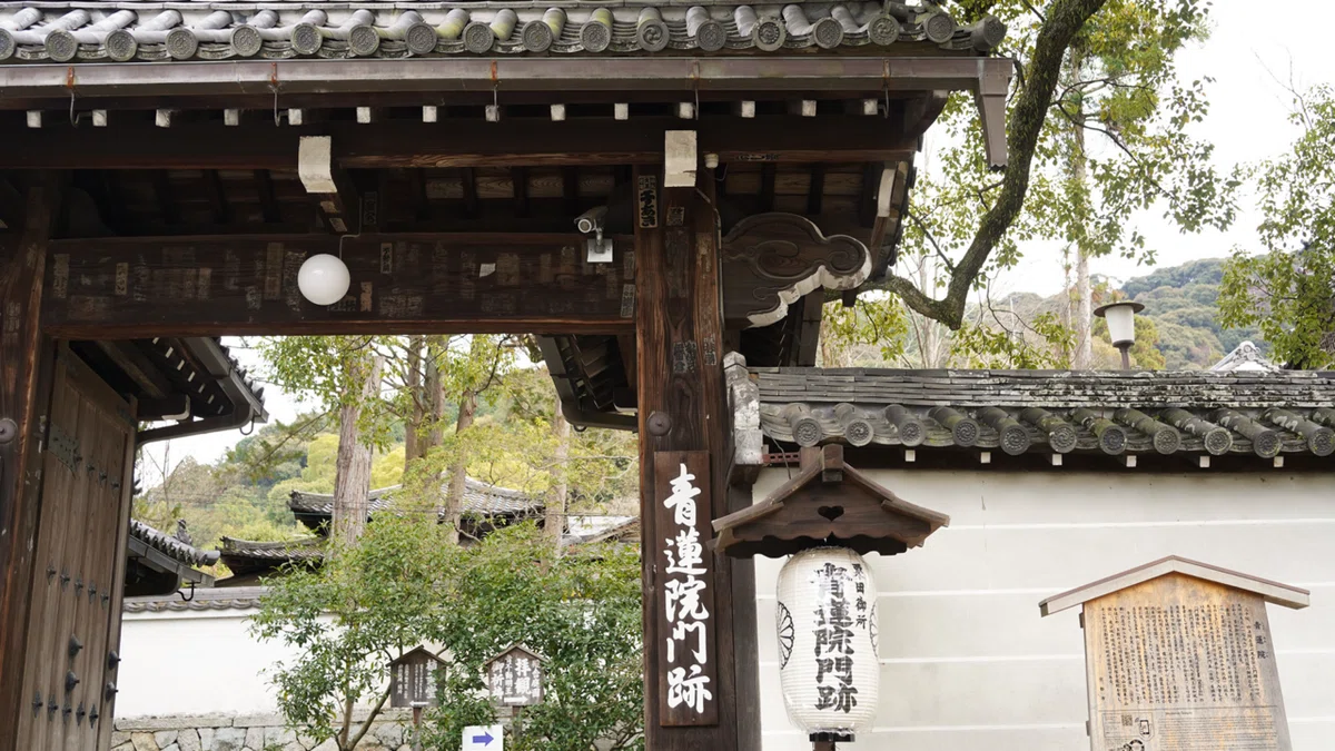 移ろいの中を巡ろう￤青蓮院門跡｜倉嶋 洋介