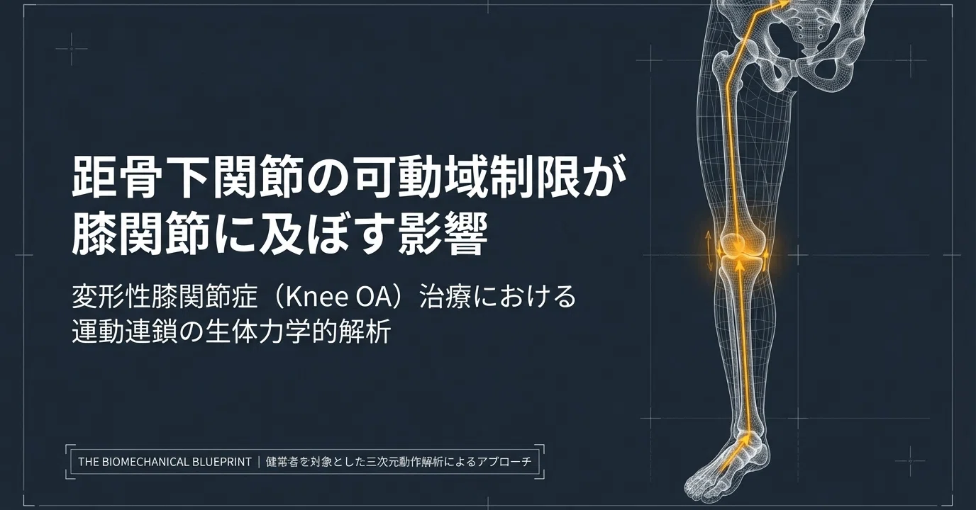 歩行の鍵は足元にあり：距骨下関節の可動域制限が膝関節に与える影響と