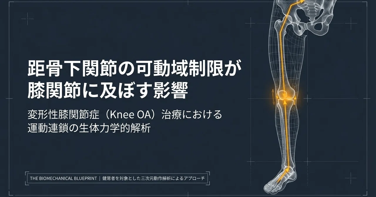歩行の鍵は足元にあり：距骨下関節の可動域制限が膝関節に与える影響と