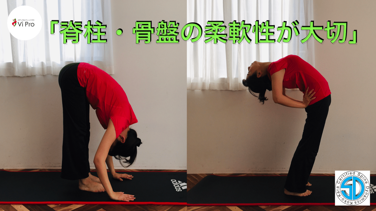 脊柱は人体最大のバネです 国沢孝弘 メディカルフィットネスvipro Note 脊柱は人体最大のバネです 国沢孝弘 メディカルフィットネスvipro Note