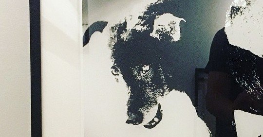 fe0bc9cd21dd8cab33faa2a77d7191