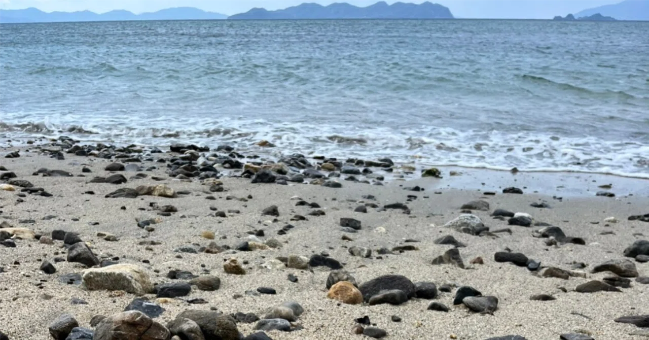 海辺の石に魅せられて。みたらい湾周辺の地質と、日常の小さな発見
