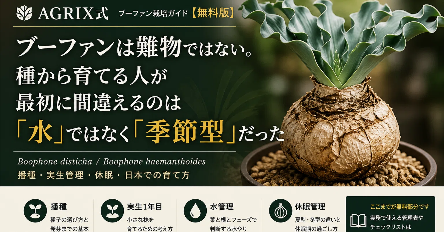 ブーファンは難物ではない。種から育てる人が最初に間違えるのは「水 