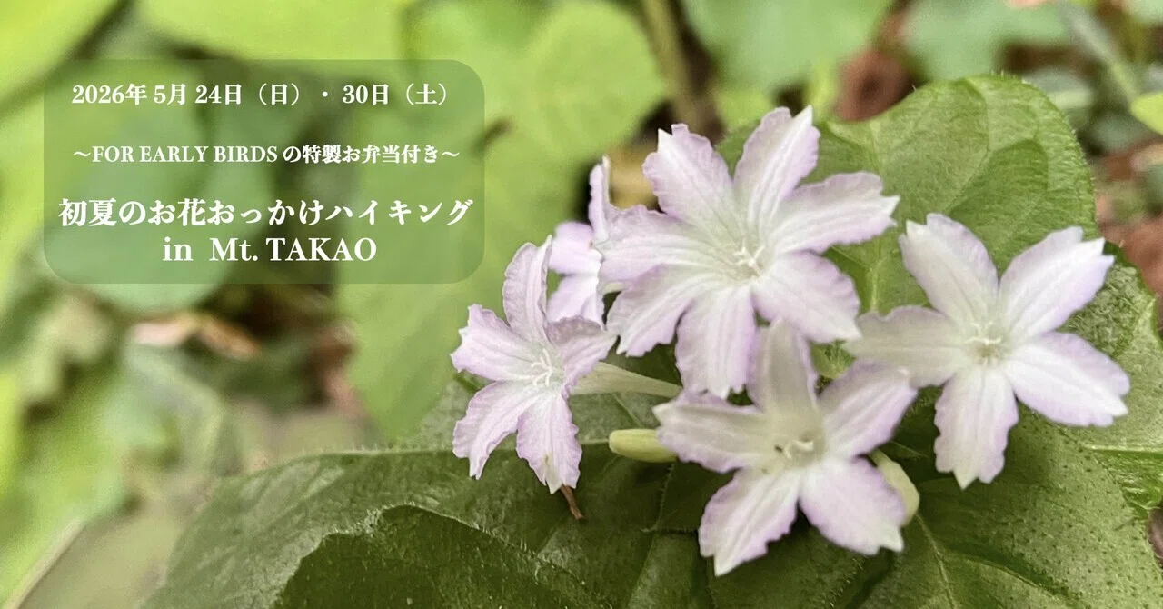 募集中】2026年5月24日（日）・30日（土）FOR EARLY BIRDSの特製お弁当