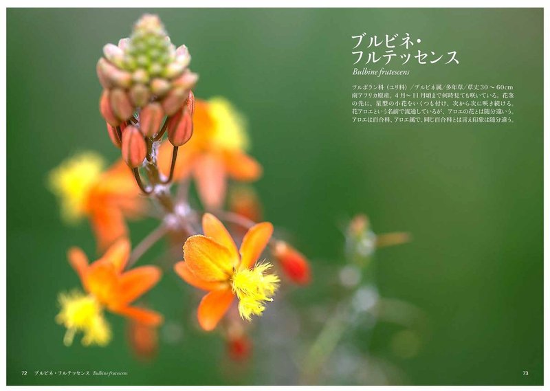 ふ の花 Taku Note ふ の花 Taku Note