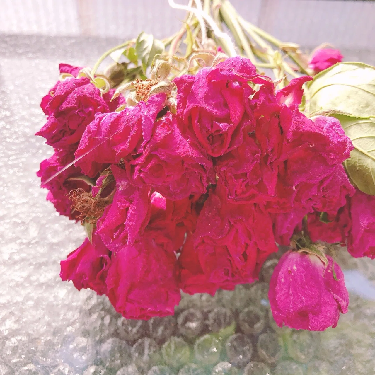 庭の薔薇の花を摘み取りローズ水を作ってそれで布を染めてみる