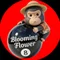 BloomingFlower|筋肉玉手箱