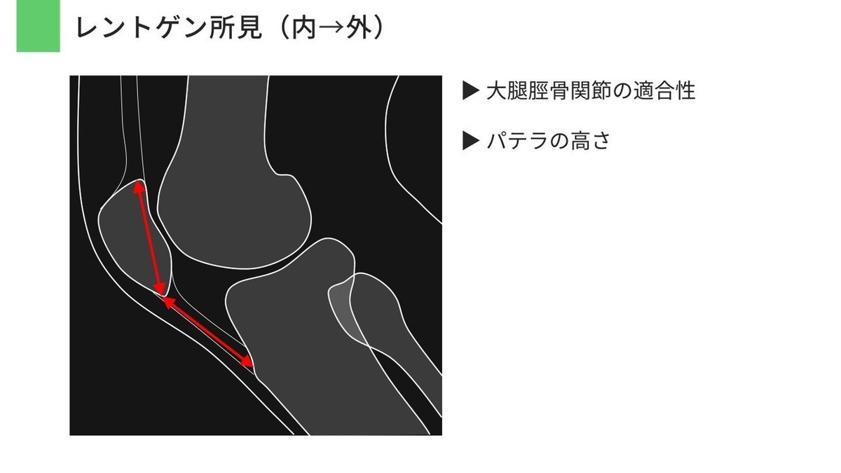 スライド14