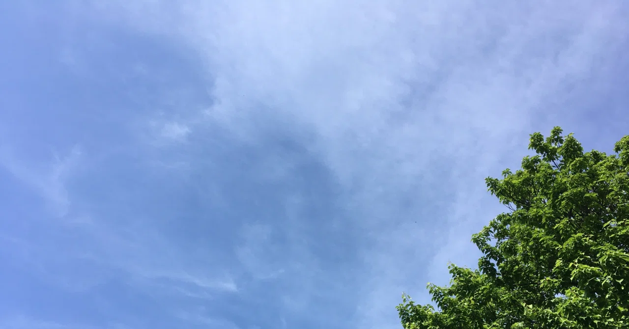 GW賑わっていますね｜ゴジラ
