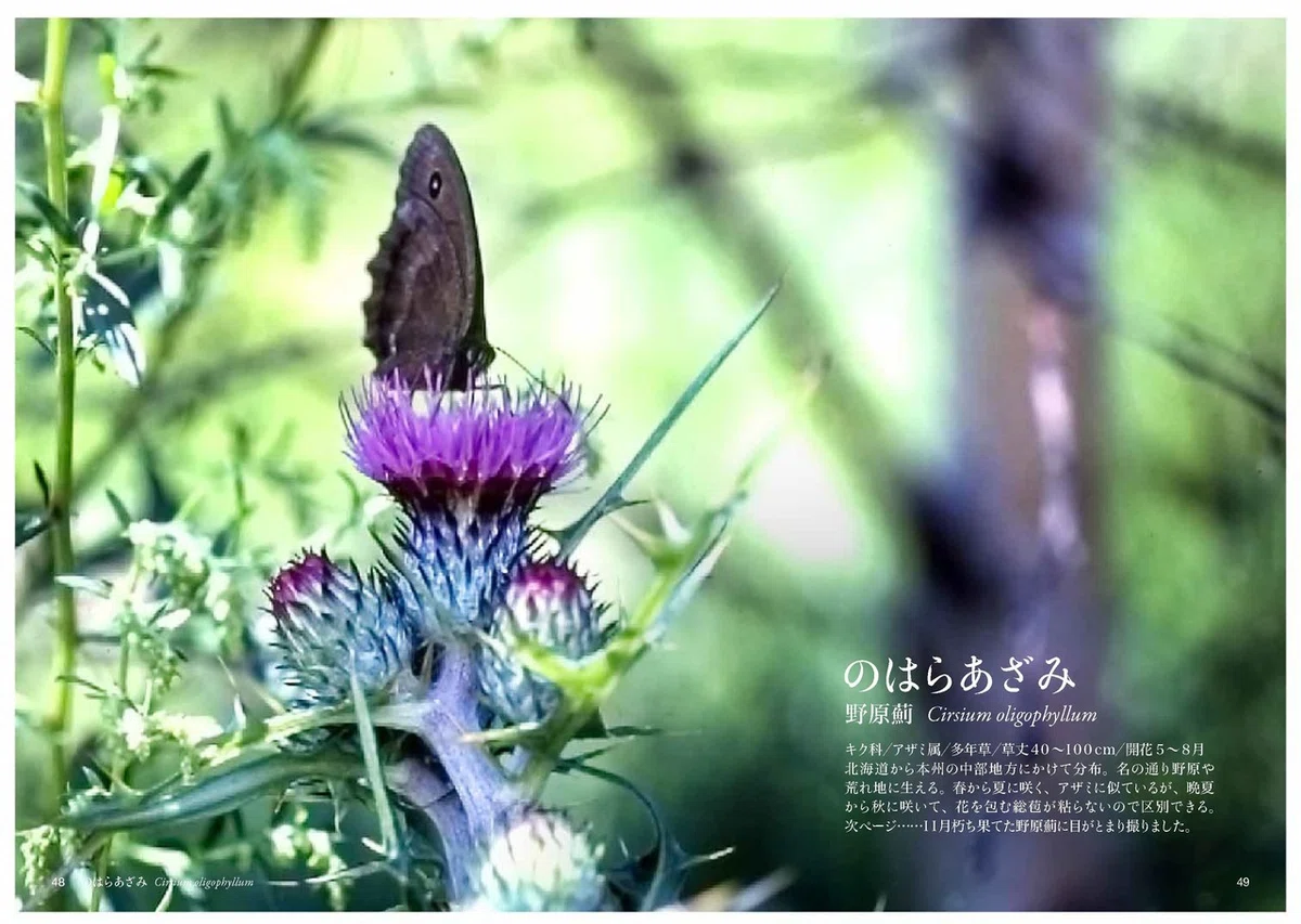 第5巻_ページ_025