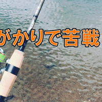 初心者向けの絶対 根がかりしない ルアーを買ってみた バス釣り初心者ol Note