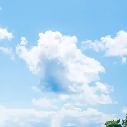 ねね