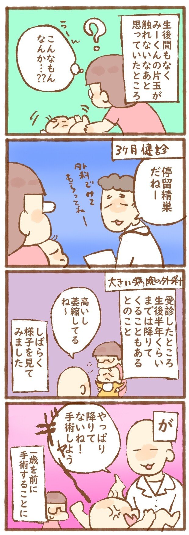 停留精巣のお話 はせ子 Note