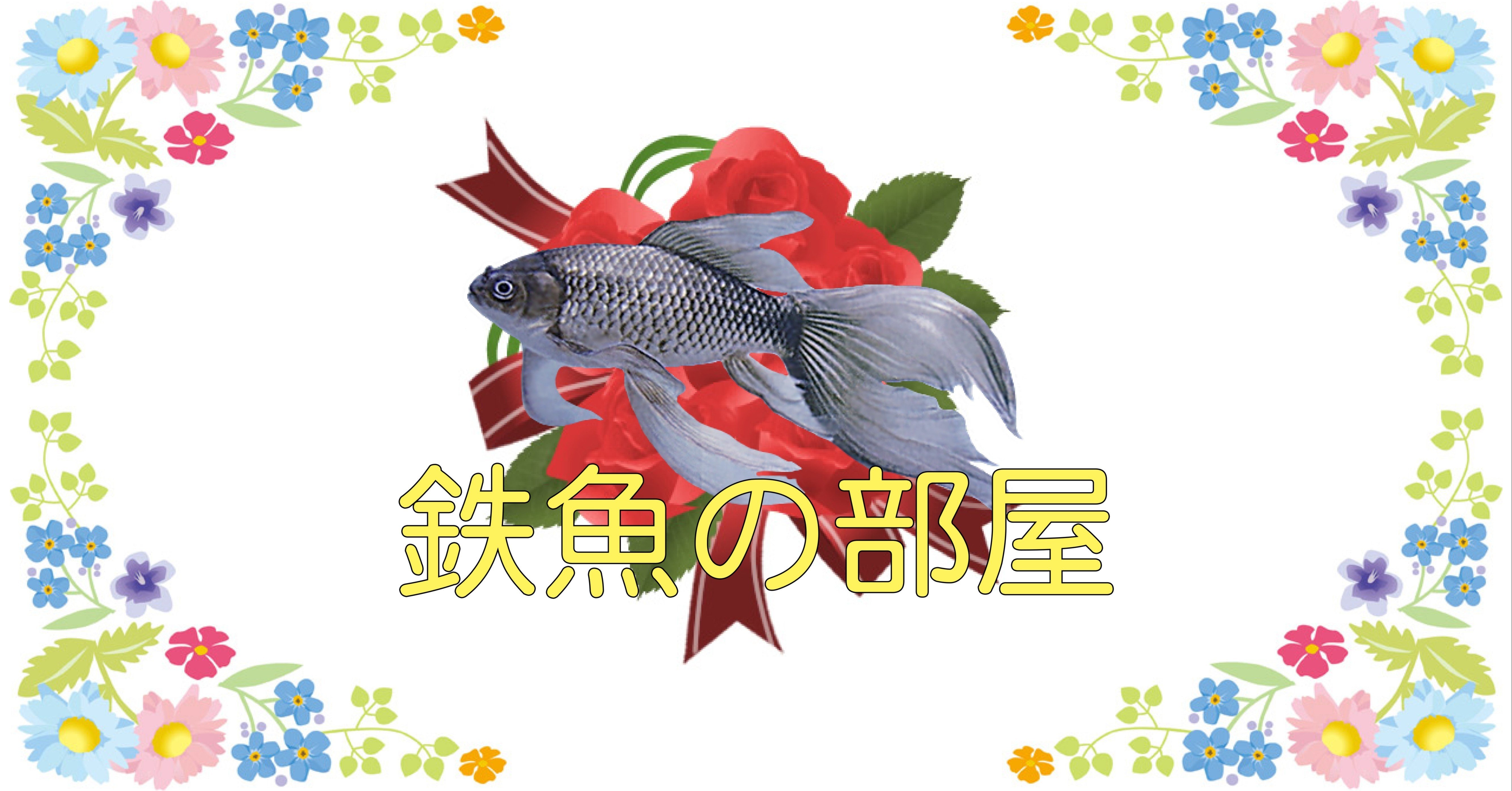 赤鉄魚(オレンジ) 宮城 魚取沼系 羽衣系 約12センチ！ 赤かオレンジ系に変色中 ゆとり沼てっちゃんクラブ | 魚取沼てっちゃん