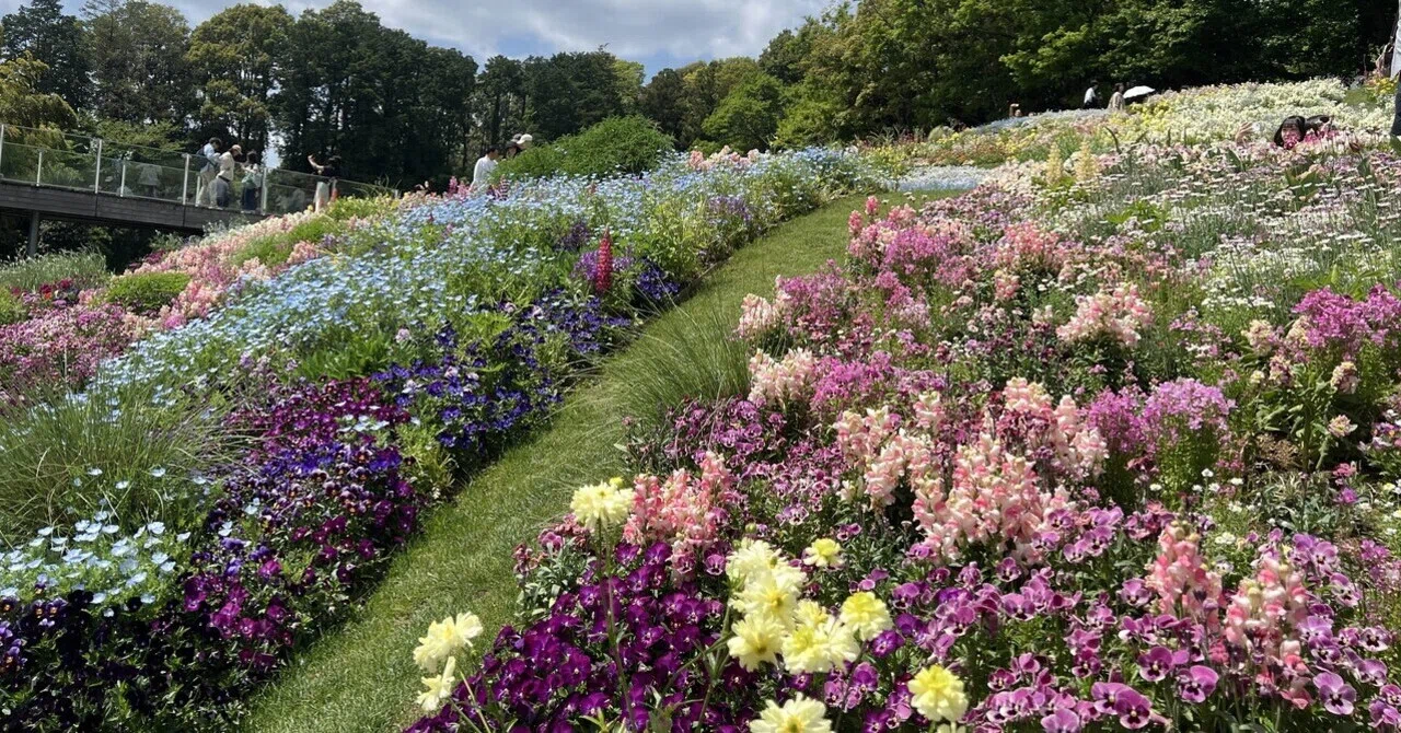 春色のご褒美満開 里山ガーデンに行ってみた~来春の花博の幕開け