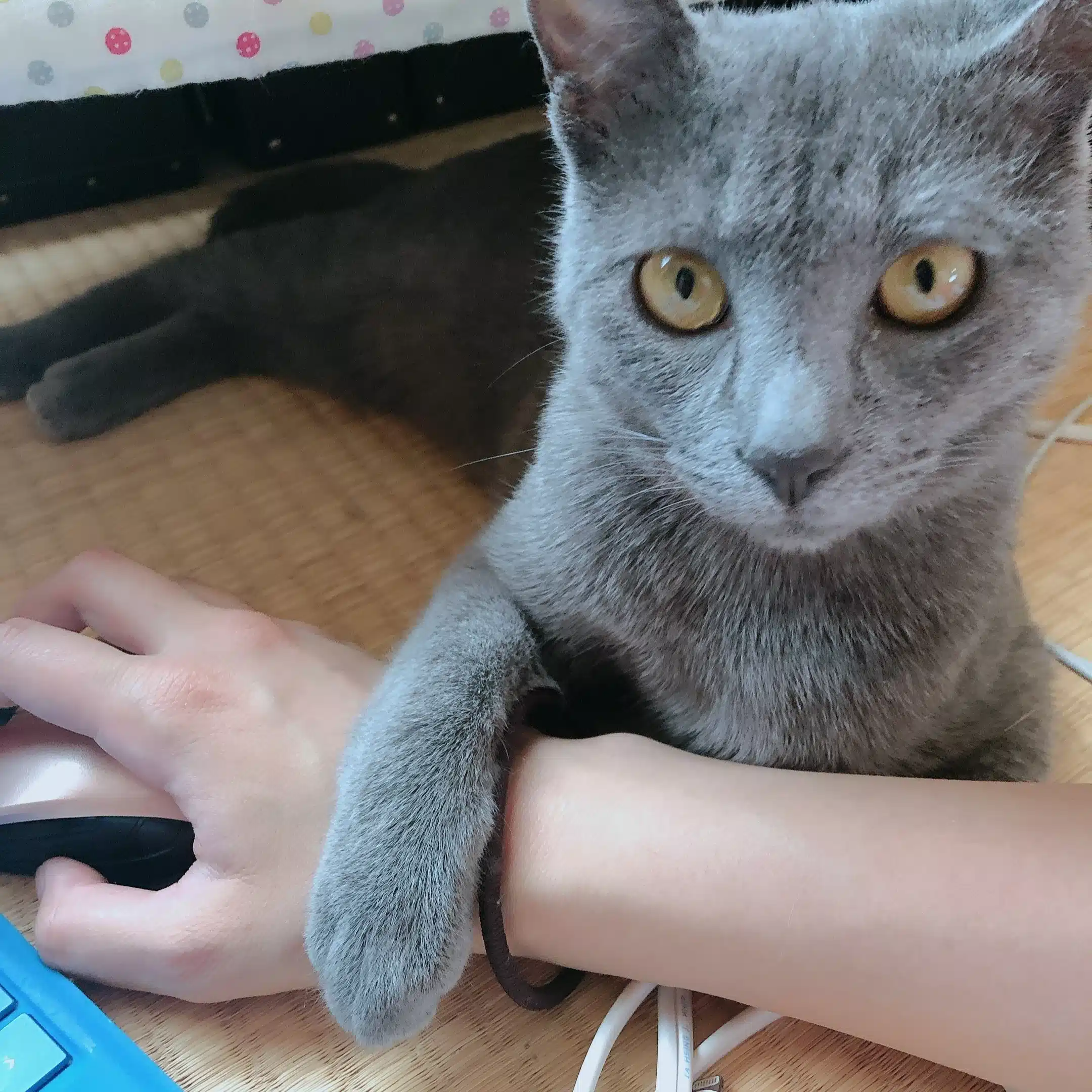 Luna
