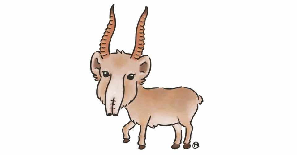いろんな動物 サイガ編 まりか博士 Note
