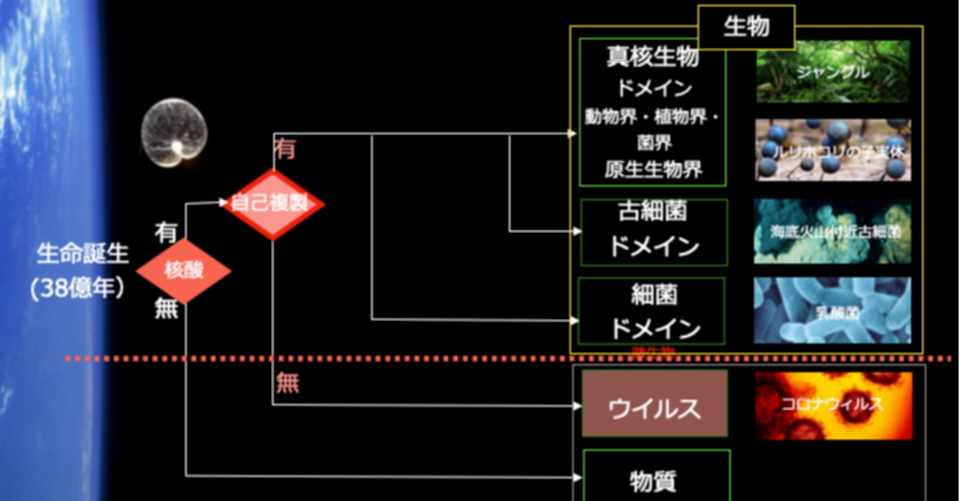 文系予備知識ゼロの私が理解したビジネスマンが今知っておくべき ウイルス の生命科学的構造 安川新一郎 コンテクスター 構造と文脈で世界はシンプルに理解できる Note