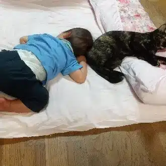 備後菜園ライフ