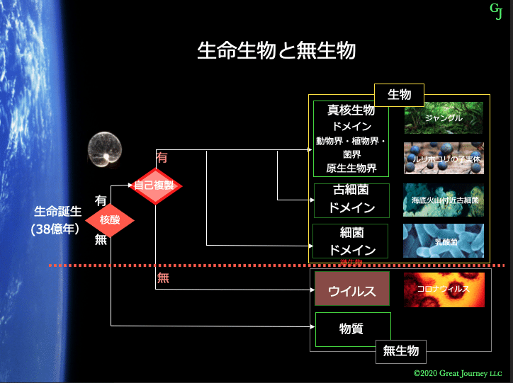 スクリーンショット 2020-06-01 17.57.54