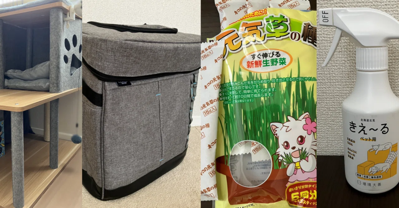 4 Cat Products I'm Glad I Bought After Living with a 16-Year-Old Senior ...