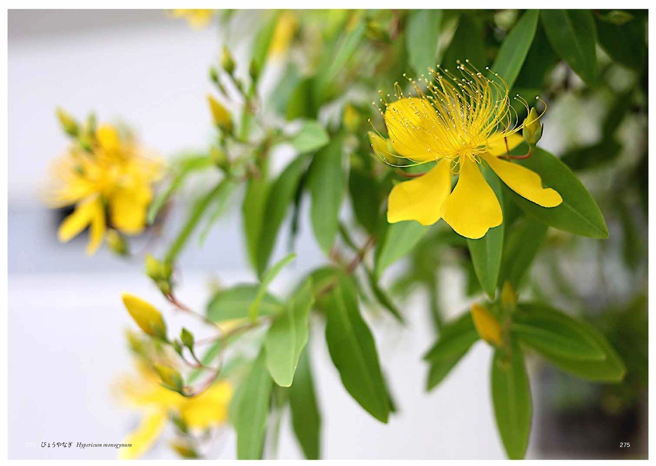 あきらめ Taku Note