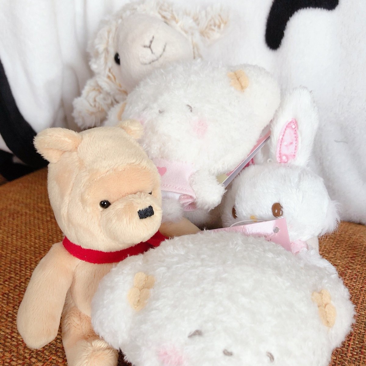 こぎみょん こぎみゅん ハンドメイド マスコット こぎみゅんの新しい仲間「こぎみょん」へのサプライズパーティー