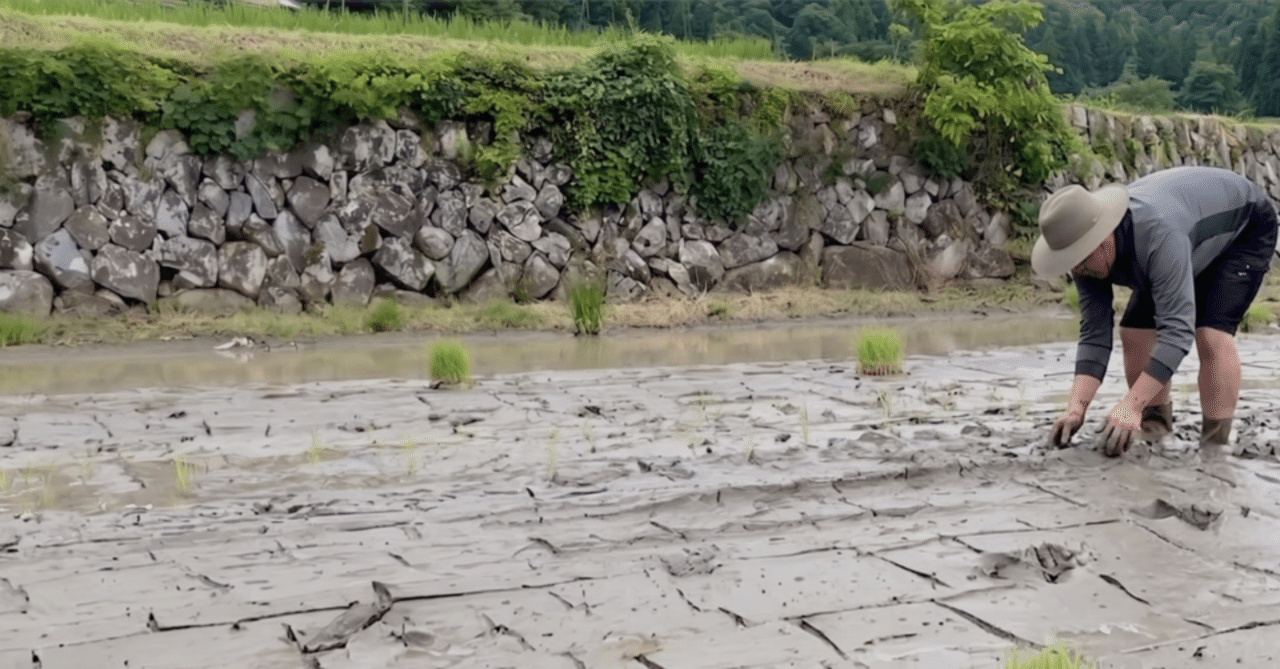 田植えは、だいたい想像より泥だらけになる。｜米良氣農園