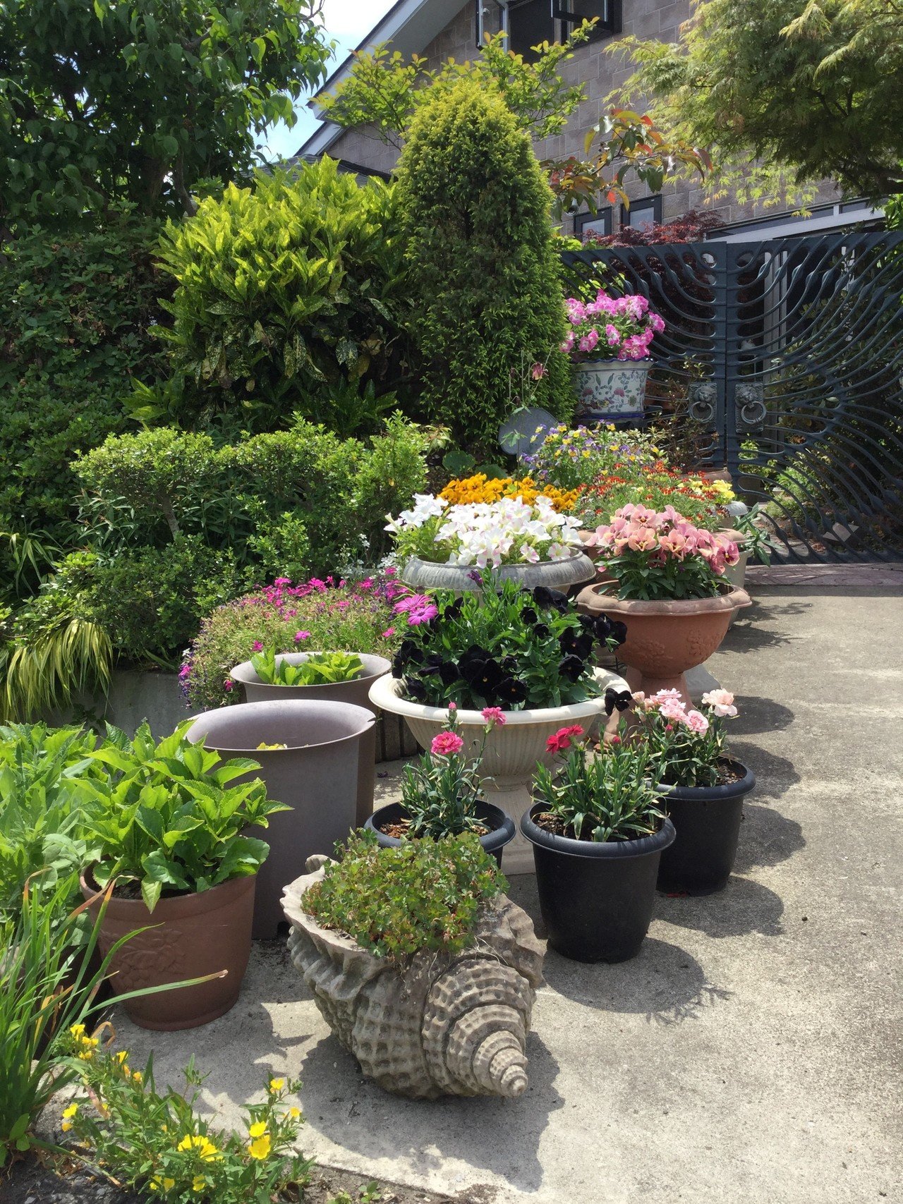 ガーデニング もも Note