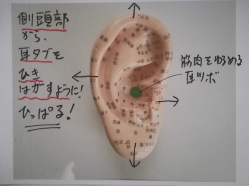 耳鳴りの対処法 耳の血行を良くする 耳鳴りのツボ キーン音は脳が作り出している その6完 ゆら里 Note 耳鳴りの対処法 耳の血行を良くする 耳鳴りのツボ キーン音は脳が作り出している その6完 ゆら里 Note