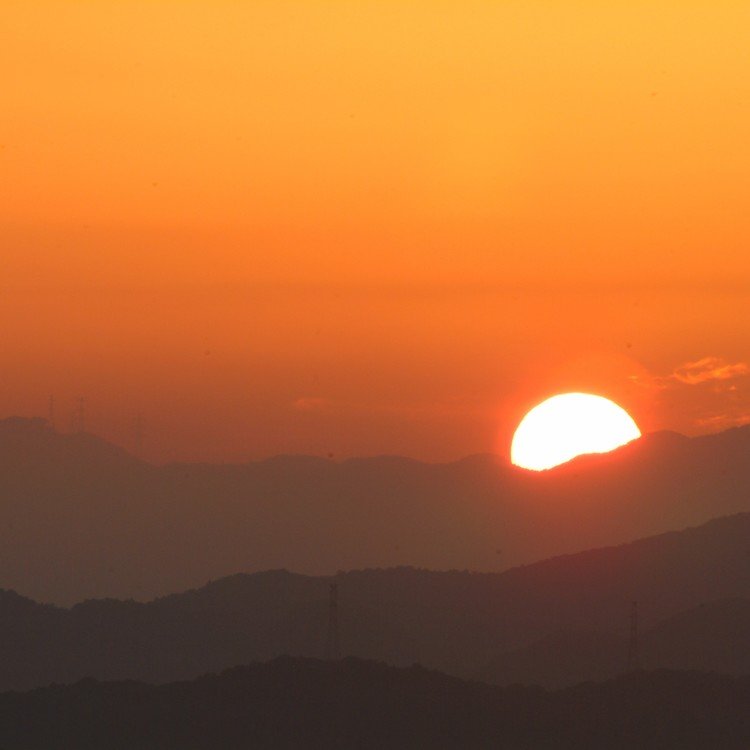 太陽さん登場燦々