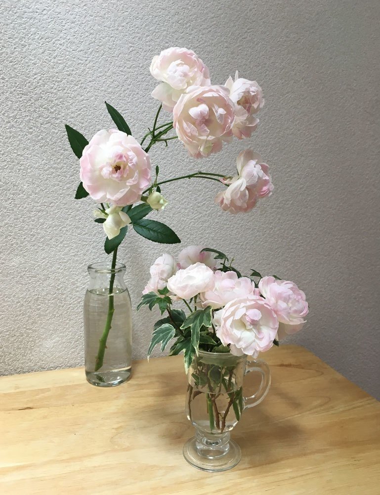 花の手順書 小さな薔薇を瓶に入れる 花と日々 Yas Note