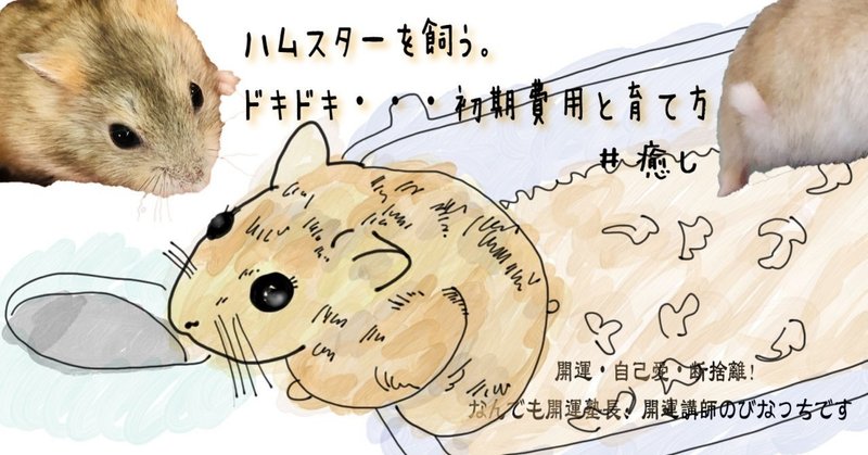 癒し ハムスターの飼う 初期費用と育て方 開運の達人びなっち 風水オルゴナイト研究家 Note